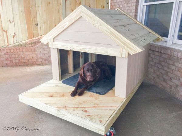 How to build an insulated dog house  HowToSpecialist - How to Build, Step  by Step DIY Plans